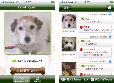 dog_tweet.jpg