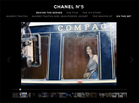  website represent exactly what a Chanel n 5 fan would like to discover