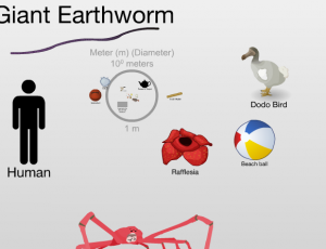 Screen Shot 2012-03-07 at 8.03.12 PM