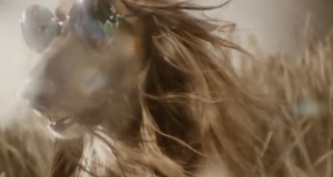 Screen shot 2012-05-31 at 7.49.28 PM