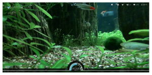 Screen Shot 2014-02-23 at 5.57.24 PM