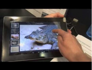 Screen Shot 2014-03-02 at 1.04.01 PM