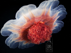 Screen Shot 2014-04-28 at 5.21.24 pm