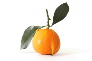 Intermarche_TheUnfortunateClementine14